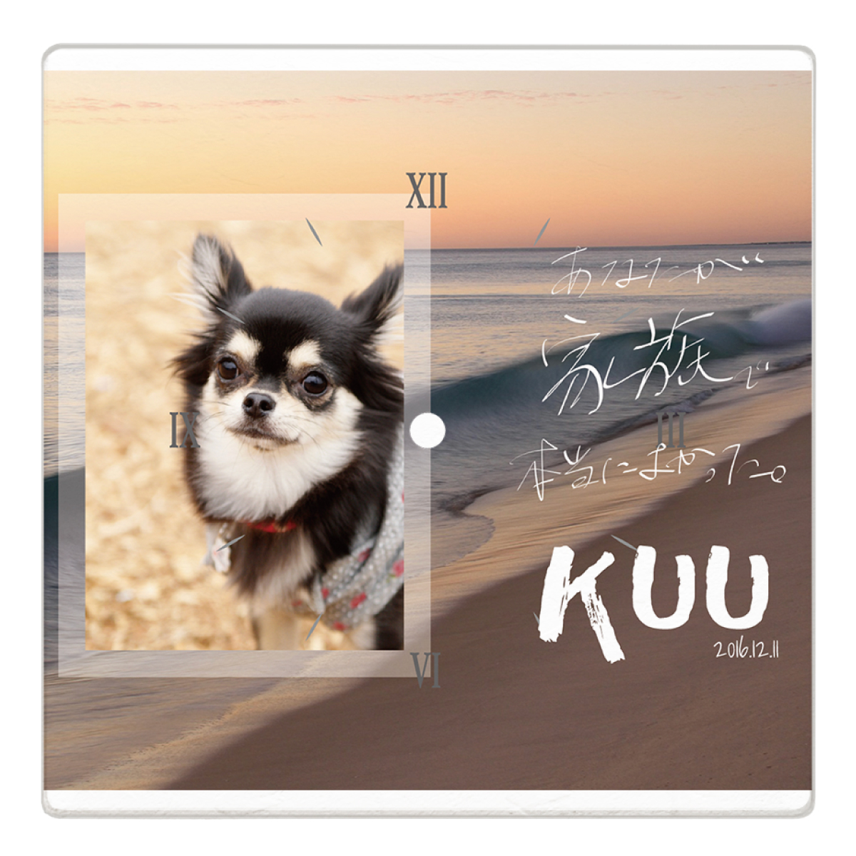 アクリル 壁掛け時計 正方形 20cm×20cm ペット [ビーチと波]